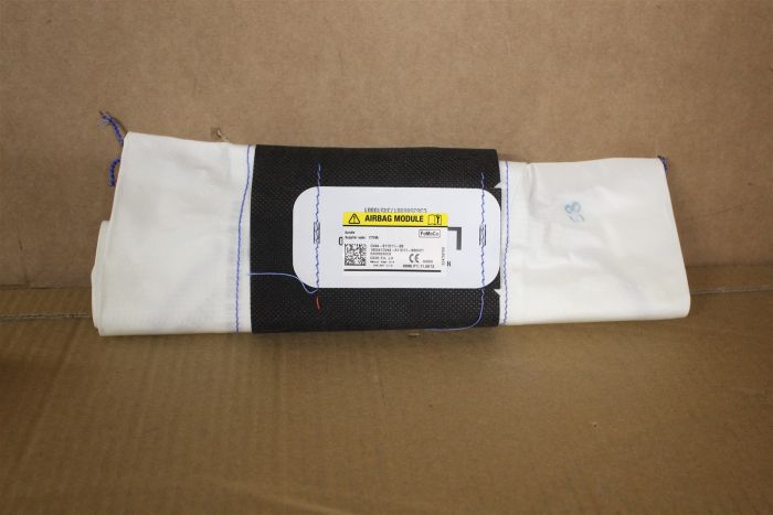 2229495 AIRBAG New genuine part | Deutsche Parts