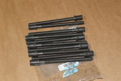 Set of 10 cylinder head bolts VW Audi Skoda SEAT 2.0 TDi 16v 03G103384 Genuine