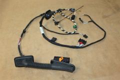 VW Passat CC left rear door wiring loom 3C8971693CP New Genuine VW part