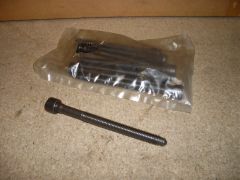 Cylinder head bolt x10 VW Audi Skoda Seat 06D103385D New genuine VW part